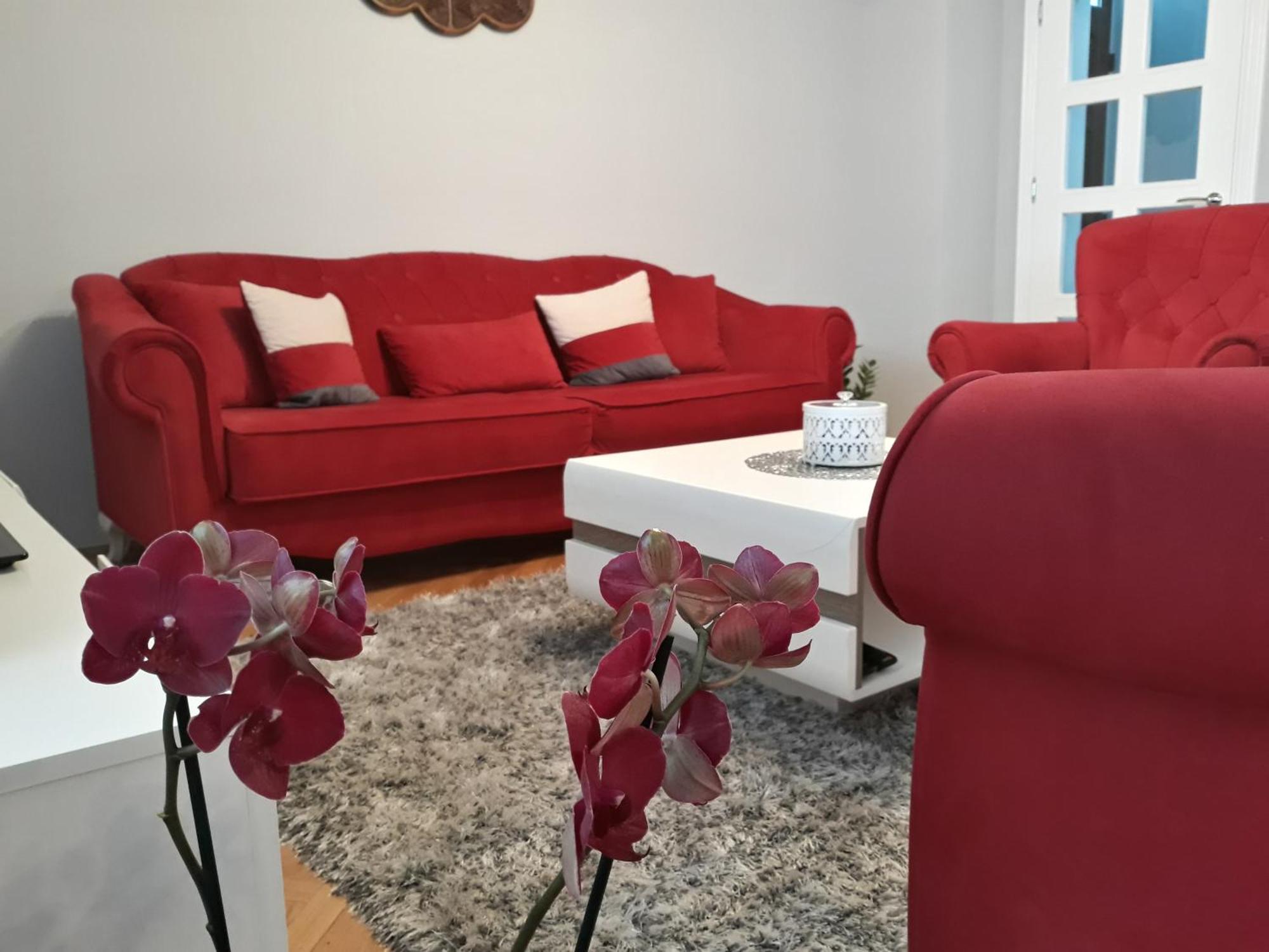Apartments Popovic Kotor Luaran gambar