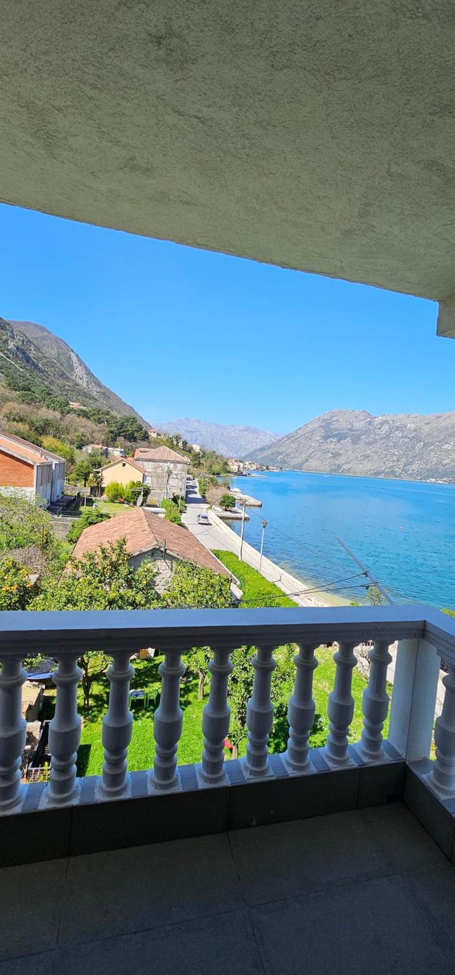 Apartments Popovic Kotor Bilik gambar