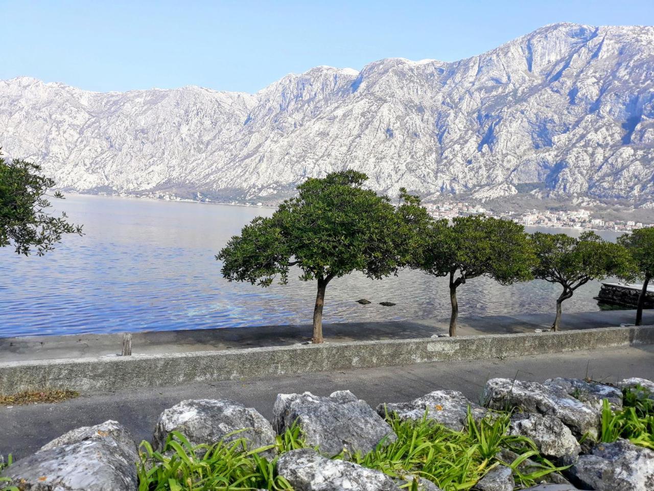 Apartments Popovic Kotor Luaran gambar